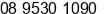 Fax number of Ms. Susan Lutey at NORTH DANDALUP