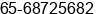 Mobile number of Mr. Sales Manager at Singapore
