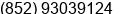Mobile number of Ms. Ye Ziran at Hong Kong