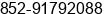 Mobile number of Mr. CC Li at Kowloon
