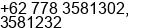 Phone number of Mr. Danno Fang at Batam