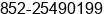 Phone number of Ms. Peggy Chan at HONG KONG