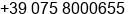 Phone number of Mr. Maurizio Mencarelli at Bastia