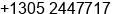 Phone number of Mrs. branka joldas at miami
