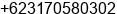 Phone number of Mr. Albert Puspo at Surabaya