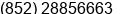Phone number of Mr. Stephen Chan at Hong Kong
