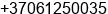 Phone number of Mr. Andrius Stankevicius at Vilnius