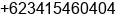 Phone number of Mr. Budi Asmoro at Malang