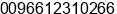 Phone number of Mr. Hatim Ibrahim at Riyadh
