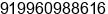 Phone number of Mr. Pravin Dhengale at New Delhi